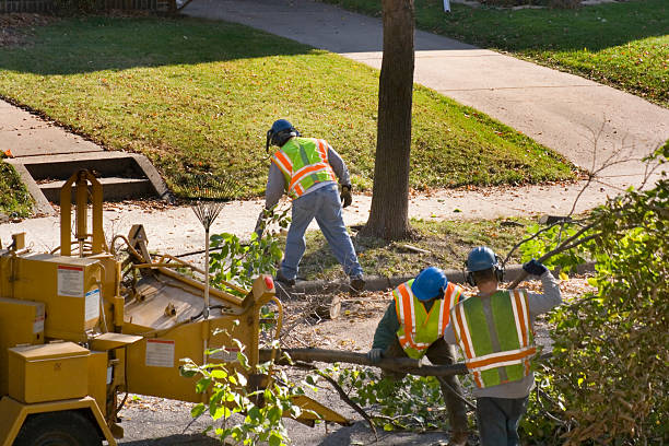 Best Landscape Design and Installation  in , CO